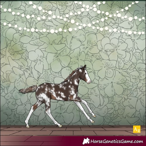Horse Color:White Spotted Liver Chestnut Splash 