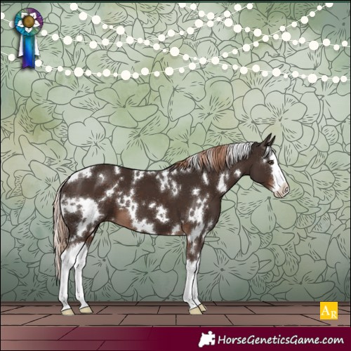 Horse Color:White Spotted Liver Chestnut Splash