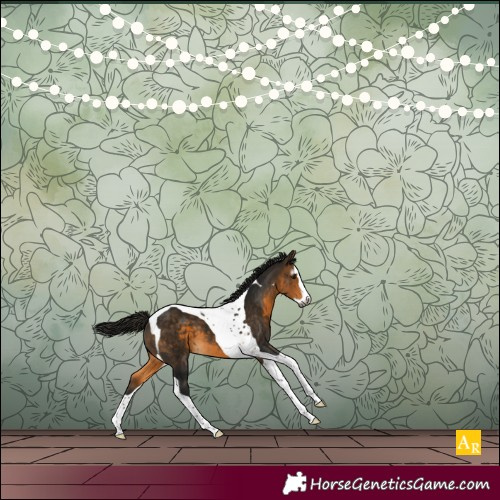 Horse Color:Gray Buckskin Splash Tobiano