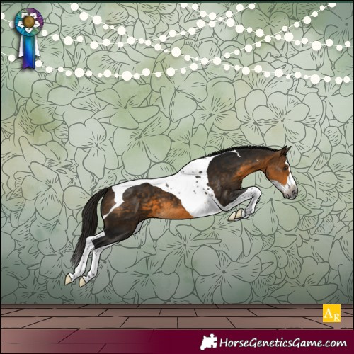 Horse Color:Gray Buckskin Splash Tobiano