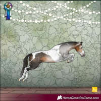 Horse Color:Gray Buckskin Splash Tobiano 