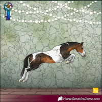 Horse Color:Gray Buckskin Splash Tobiano 