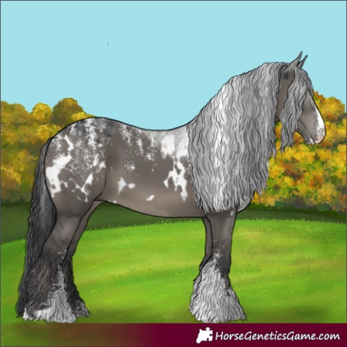 Horse Color:Powder White White Spotted Grullo