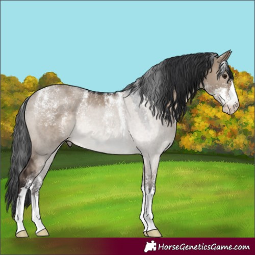 Horse Color:Powder White Brown Dun Rabicano