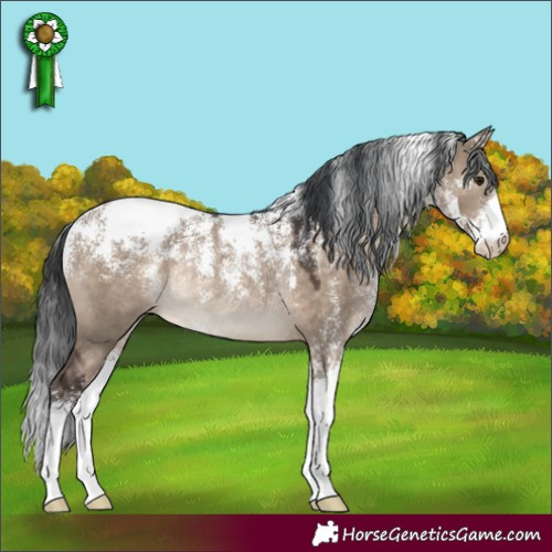 Horse Color:Powder White Brown Dun Rabicano 