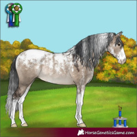Horse Color:Powder White Brown Dun Rabicano