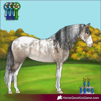 Horse Color:Powder White Brown Dun Rabicano 