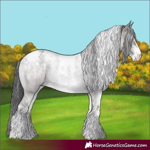 Horse Color:Powder White Platinum Brown Dun 