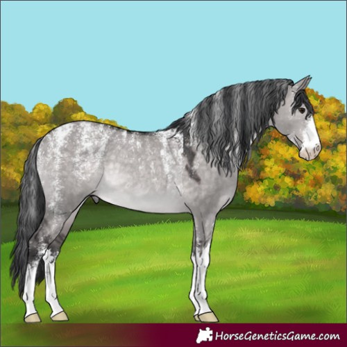 Horse Color:Powder White Platinum Brown Dun Rabicano