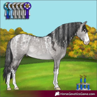 Horse Color:Powder White Platinum Brown Dun Rabicano 