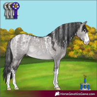 Horse Color:Powder White Platinum Brown Dun Rabicano