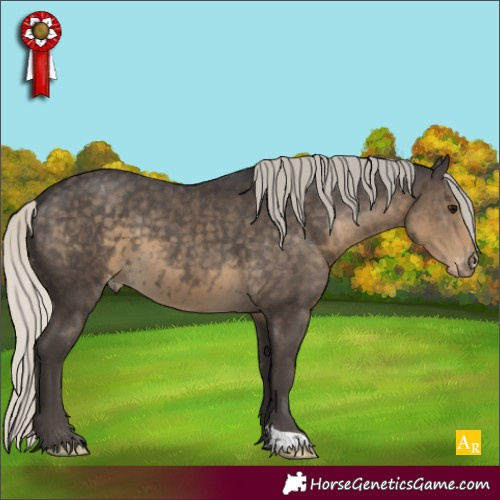 Horse Color:Silver Smoky Black Appaloosa