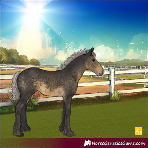 Horse Color:Silver Smoky Black 