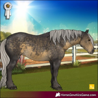 Horse Color:Silver Smoky Black 