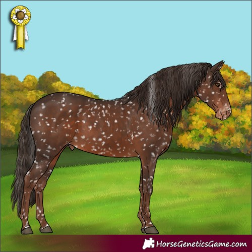 Horse Color:Liver Chestnut Snowflake Varnish Rabicano