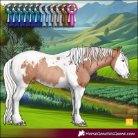 Horse Color:Silver Sable Champagne Splash Tobiano Blanket Rabicano 