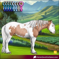 Horse Color:Silver Sable Champagne Splash Tobiano Blanket Rabicano 