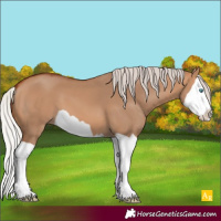 Horse Color:Silver Bay Dun Splash 