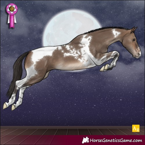 Horse Color:Brown Dun Tobiano