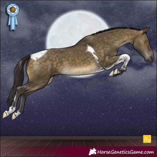 Horse Color:Buckskin Dun Tobiano 