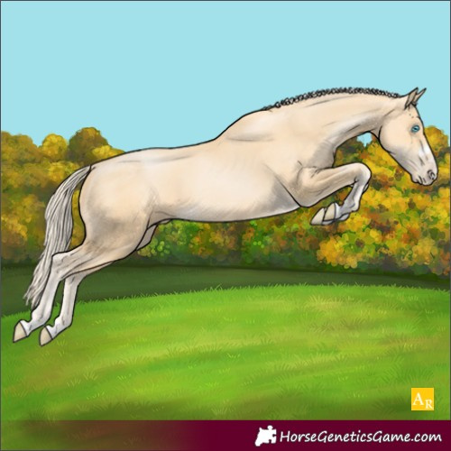 Horse Color:Palomino Pearl