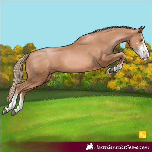 Horse Color:Chestnut Pearl Sabino