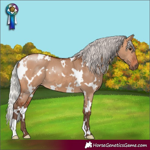 Horse Color:White Spotted Silver Bay Dun 