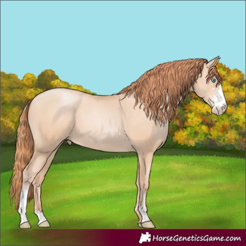 Horse Color:Sable Champagne Pearl Sabino 