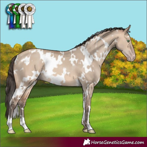 Horse Color:White Spotted Amber Champagne Dun 