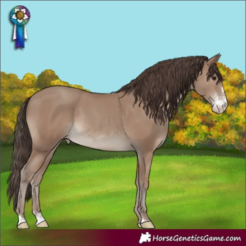 Horse Color:Classic Champagne Sabino Appaloosa Rabicano