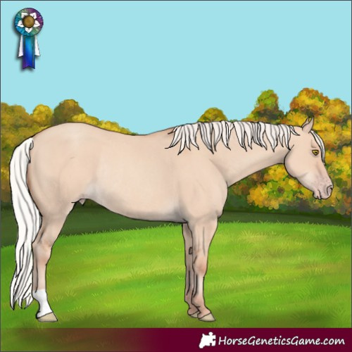 Horse Color:Silver Classic Champagne Dun Rabicano 