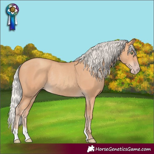 Horse Color:Silver Amber Champagne Rabicano 