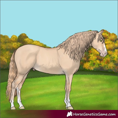 Horse Color:Gold Champagne Dun 