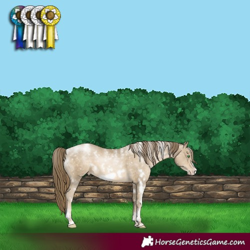 Horse Color:Powder White White Spotted Smoky Black Pearl Frame Appaloosa