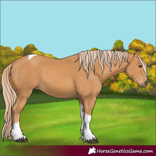 Horse Color:Chestnut Tobiano 