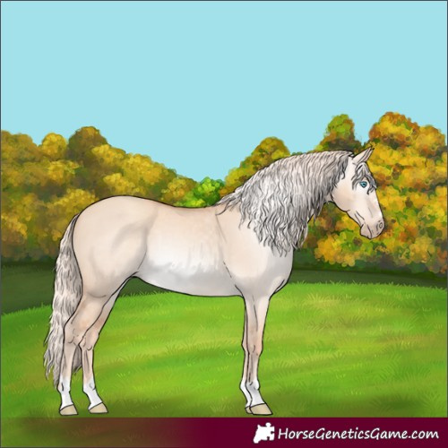 Horse Color:Gray Cremello Dun 