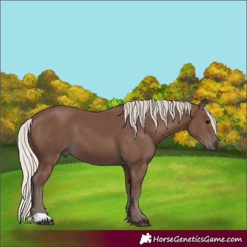 Horse Color:Silver Black