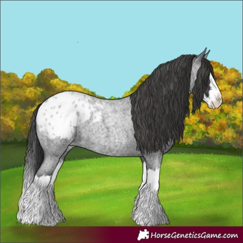 Horse Color:Blue Roan Splash Blanket 