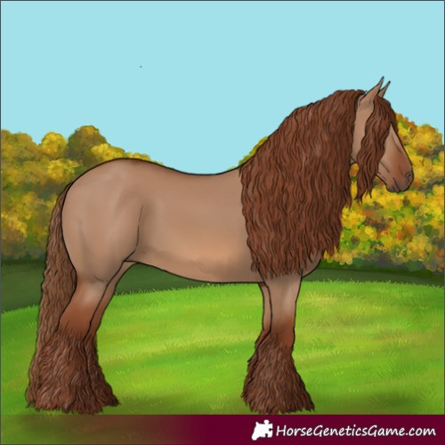 Horse Color:Red Dun