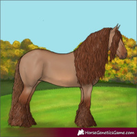 Horse Color:Red Dun 