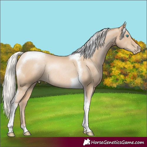 Horse Color:Silver Smoky Black Pearl Tobiano Rabicano 