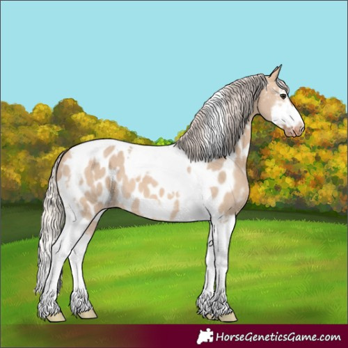 Horse Color:Silver Bay Dun Sabino Splash Tobiano Frame Near Leopard Rabicano 