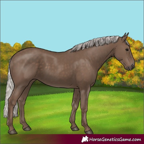 Horse Color:Silver Black 