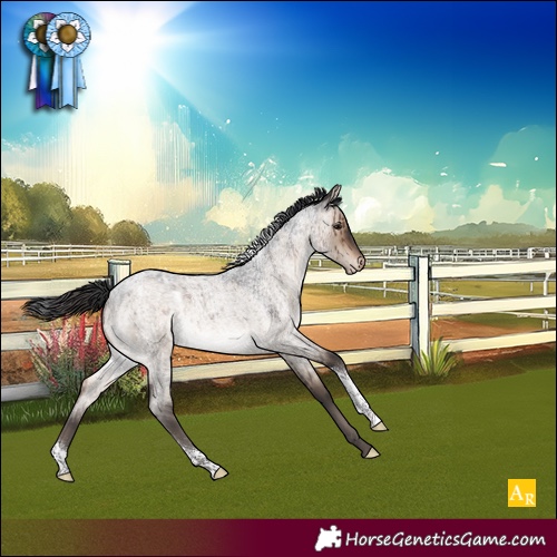 Horse Color:Brown Roan Dun Tobiano Appaloosa Brindle 