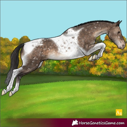Horse Color:Brown Dun Tobiano Snowcap Brindle