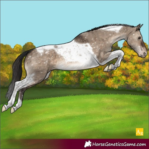 Horse Color:Brown Dun Tobiano Snowcap Brindle