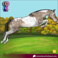 Horse Color:Brown Dun Tobiano Snowcap Brindle 