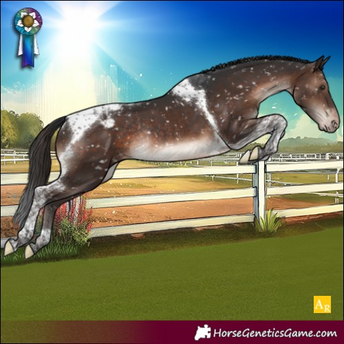 Horse Color:Brown Mushroom Tobiano Appaloosa Rabicano 