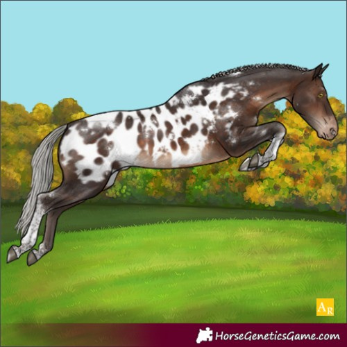 Horse Color:White Spotted Silver Brown Tobiano Blanket Rabicano