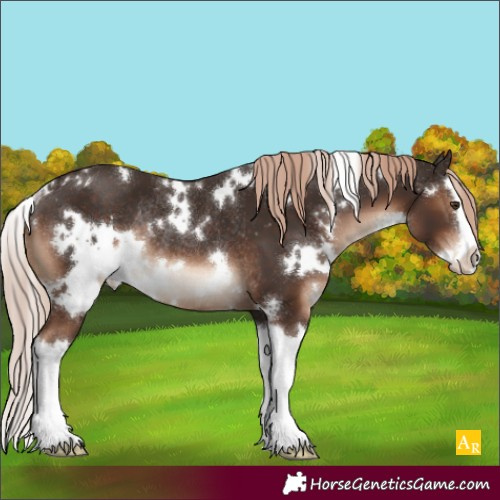 Horse Color:White Spotted Liver Chestnut Splash Rabicano 